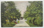 This vintage postcard is in good condition. It features Scene In Lincoln Park, Chicago. This postcard measures approximately 5 1/2 x 3 1/2. The reverse side is unused.