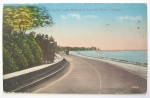 This vintage postcard is in Good condition. It features Along Lake Michigan, Lincoln Park, Chicago. This postcard measures approximately 5 1/2 x 3 1/2. The reverse side is used.