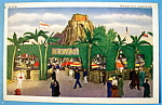This original postcard is from the 1933 Century Of Progress (Chicago World's Fair) which was held in Chicago. It is in excellent condition and the front features the "Hawaiian Gardens, Chicago Wo...