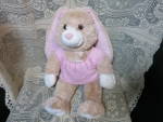 Build A Bear Bunny Rabbit 16 inch. Beautiful soft plush and cuddly. She has brown eyes with big black puples and embroidered eyelashes. Soft pink nose and embroidered pink mouth. In excellent played w...