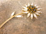 Daisy Flower pin with red rhinestone and white milk glass beads on a gold backing. It is very well made but is not marked. There are 15 red rhinestones set with prongs and 16 oblong white milk glass s...
