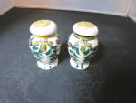 Vintage Hand Painted Japan Leaf abstract Salt and Pepper Shakers. Complete with stoppers. In good used condition excluding one has a chip on the base.<BR><BR>Height 2 1/4 inch X 1 1/2 at widest across...