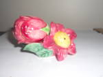 Salt and Pepper shakers in a flower, bud and leaves design. They are in lovely colors and marked Japan. The set is 3 inches high and 4 inches wide. A very different set.