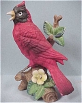 Cardinal on Branch, 5 1/4" high.  Light wear on cold paint, otherwise excellent.