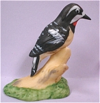 Miniature Bone China Royal Crown Bird, Woodpecker, 1 13/16" high, excellent condition. 