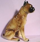1950s/1960s Ucagco Japan Boxer Dog, 7 3/8" high.  Surface glaze chip over one eye, no other damage. 