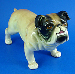 1950s/1960s G Novelty Japan Ceramic Bulldog, 3 3/4" high.  Glaze craze, otherwise excellent condition. 