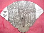 1920s/1930s Souvenir Fan, 7 3/8" high.  Soft opening tabs and edge wear.  Stanley Park, Westfield, Mass., Enchanted Oak. <BR>