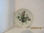  Vintage Japan Two Bird On A Limb Miniature Plate, brown, gray on white background. Gold trim display plate, decoration Only do not us for food. Very good condition, price is for one. 