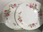 Vintage Fine China of Japan Royal Rose Dinner Plate Set of two 10" plates, white with pink roses and green leaves. Very good condition, price is for set. 