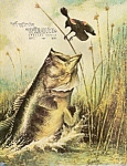 Virginia Wildlife - April 1982=39 complete pages.  Cover: Florida Bass by artist ED BIERLY - Trout, trillium and morels  - The James: between the ferries -  From Creel to platter -The unpredictable Pi...
