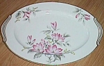 This is a simply stunning pattern from Noritake China! The gorgeous pinks accented by the<BR>silver/gray leaves. Tiny yellowish berries or buds in the back ground. Gold accents the delicate<BR>curves ...