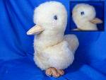 Sheep Skin duck with leather beck and feet. Measures 6 inches tall and live in a smoke free home. 