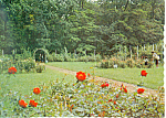 Description:-Garden at Hokkaido University, Japan<BR>Item Specifics:  Postcard<BR>Postcard Type:-Modern Chrome Postcard (ca. 1939- Present)	<BR>Card Dated:  -Non-Posted<BR>Postmarked at:  -<BR>View Lo...