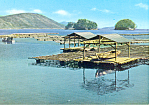 Description:-Scene at Toba Bay,Ise Shima National Park, Japan <BR>Item Specifics:  Postcard<BR>Postcard Type:-Modern Chrome Postcard (ca. 1939- Present)	<BR>Card Dated:  -Non-Posted<BR>Postmarked at: ...