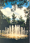 Description:- Chicago Botanic Garden, Glencoe, Illinois<BR>Item Specifics:  Postcard<BR>Postcard Type:-Modern Chrome Postcard (ca. 1939- Present)<BR>Card Dated:  Non-posted <BR>Postmarked at: -<BR>Vie...