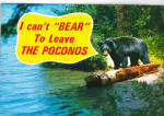 Description:-Black Bear in the Poconos<BR>Item Specifics:  Postcard.<BR>Postcard Type: Modern Postcard (ca. 1939- Present)<BR>Card Dated: Non Posted <BR>Postmarked at:<BR>View Location:-:-Poconos of P...