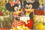 Description--MIckey and MInnie at Main Street Flower Market<BR>Item Specifics: Postcard. <BR>Postcard Type:- Modern Chrome Postcard (ca. 1939- Present)<BR>Card Dated -Non Posted<BR>Postmarked  -<BR>Vi...