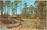 This unused postcard , is a view the Disney World Ft Wilderness Camping .Our older cards may not be perfect showing the wear of their age. 
