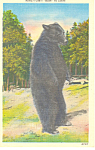 Description: I Can't Bear To Leave <BR>Item Specifics:  Postcard<BR>Postcard Type:-Linen Postcard (ca.1930-1945)<BR>Card Dated:  -Non-Posted<BR>Postmarked at:  -<BR>View Location: - <BR>View Caption: ...