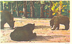 Description: Bears Good Wishes<BR>Item Specifics: Postcard<BR>Postcard Type:-Linen Postcard (ca.1930-1945)<BR>Card Dated: Non-Posted<BR>Postmarked at: <BR>View Location: <BR>View Caption: This Card Be...