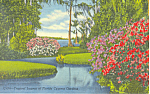 Description: Tropical Lagoon, Cypress Gardens, Florida<BR>Item Specifics:  Postcard<BR>Postcard Type: -Linen Postcard (ca.1930-1945)<BR>Card Dated: -PM 1967<BR>Postmarked at: --Sebring, Florida<BR>Vie...