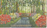 Description: --Sunken Gardens,Wilmington, North Carolina<BR>Item Specifics:  Postcard<BR>Postcard Type:-Linen Postcard (ca.1930-1945)	<BR>Card Dated: -Non-Posted<BR>Postmarked at: -<BR>View Location:-...