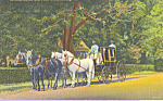 Description: --Colonial Coach and Four,Williamsburg,Virginia<BR>Item Specifics:  Postcard<BR>Postcard Type:-Linen Postcard (ca.1930-1945)<BR>Card Dated: -Non-Posted<BR>Postmarked at: -<BR>View Locatio...