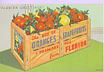 Description: Box of Oranges and Grapefruits<BR>Item Specifics:  Postcard.<BR>Postcard Type: -Linen Postcard (ca.1930-1945)<BR>Card Dated:  PM 1954<BR>Postmarked at: -Land 'O Lakes, Florida<BR>View Loc...