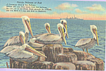Description: Florida Pelicans at Rest<BR>Item Specifics:  Postcard.<BR>Postcard Type: -Linen Postcard (ca.1930-1945)<BR>Card Dated:  PM 1945<BR>Postmarked at: -Jacksonville, Florida<BR>View Location: ...