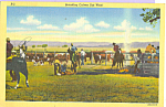 Description: Branding Cattle Out West<BR>Item Specifics: Postcard.<BR>Postcard Type: Linen Postcard (ca.1930-1945)<BR>Card Dated: PM date not legible<BR>Postmarked at: US Navy PM<BR>View Location: Wes...