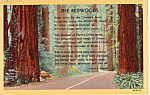 Description: The Poem: The Redwoods<BR>Item Specifics:  Postcard.<BR>Postcard Type: Linen Postcard (ca.1930-1945)<BR>Card Dated: --PM date not legible<BR>Postmarked at: --Klamath falls, Oregon ??<BR>V...
