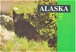 This modern chrome postcard is a view of a Black Bear Cub in Alaska .Card is in good condition, dated 1998. We do accept electronic payments through Pay Pal.