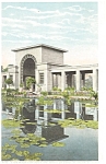 This item is a Early White Border Postcard (ca.1916-1930) and  is a view in Chicago IL of The Lily Pond and Pavilion atDouglas Park It is in good condition , non-posted.  