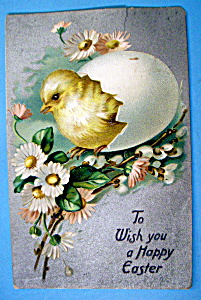 Wish You A Happy Easter Postcard W/chick (Raphael Tuck)