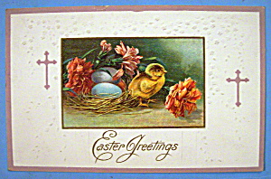 Easter Greetings Postcard W/chick Standing By Nest