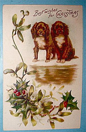 Best Wishes Christmas Postcard With 2 Dogs