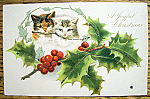 A Joyful Christmas Postcard With Dog & Cat