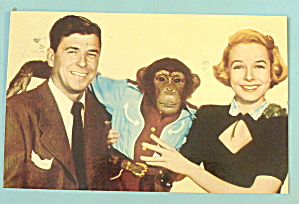 Ronald Reagan & Diana Lynn (Bedtime For Bonzo) Postcard