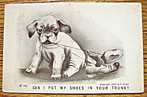 Puppy Chewing On A Pair Of Shoes Postcard