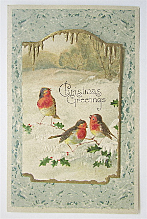 Birds In The Snow Christmas Greetings Postcard