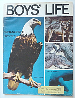 Boys Life Magazine November 1970 Endangered Species