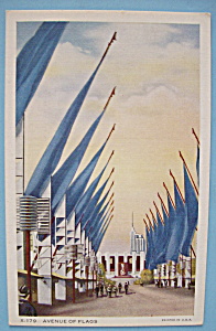 Avenue Of Flags Postcard (Chicago World's Fair)