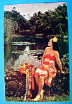 Hawaiian Maiden Postcard