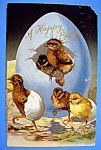 A Happy Easter Postcard w/Embossed Design of 4 Chicks
