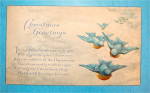 Christmas Greetings Postcard With Birds Flying