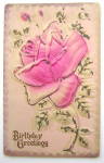A Pink Rose Postcard