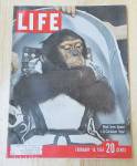 Life Magazine February 10, 1961 Confident Ham