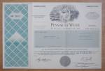 1996 Pinnacle West Capital Corp Stock Certificate 
