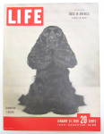 Life Magazine-January 31, 1949-Dogs In America